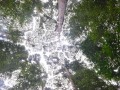 Tn 0490 DSC 5809